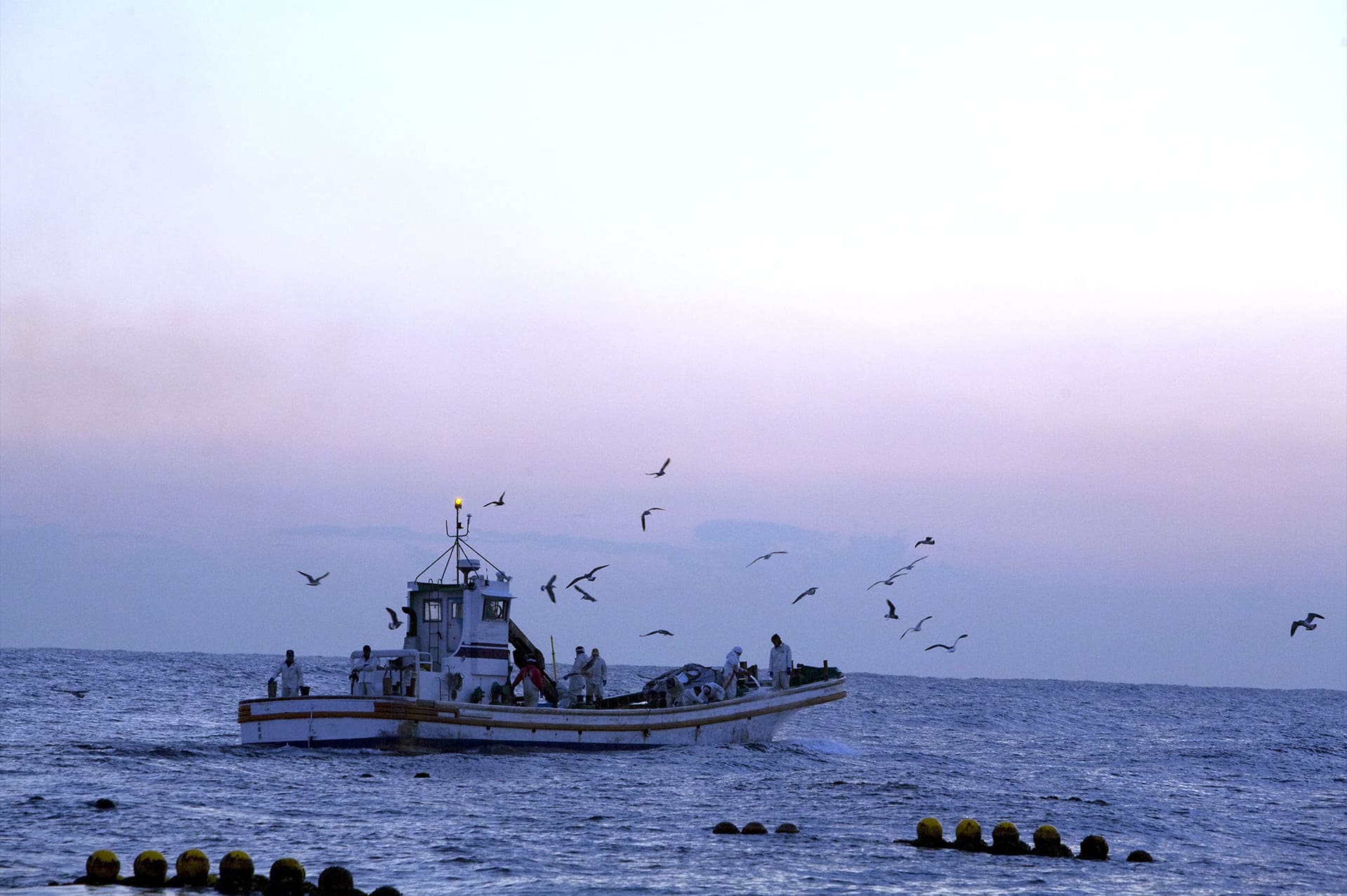 JFO日本漁師協会 漁師が経営者になり市場を動かす世界へ
